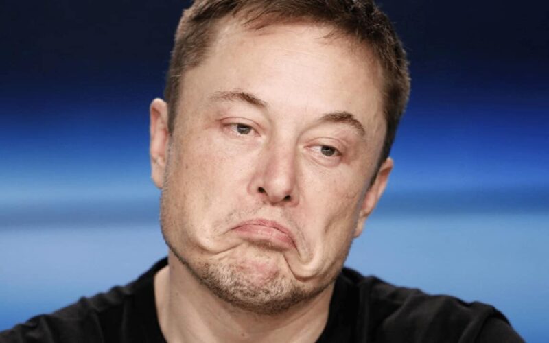 Crypto Twitter Mocks Elon Musk After He Tried To Bully Michael Saylor