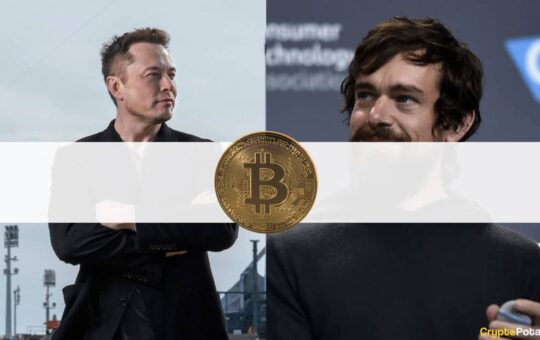 Elon Musk Agrees to Have the Bitcoin Talk With Jack Dorsey