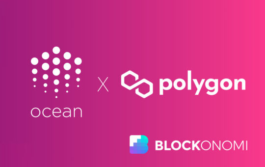 Ocean Protocol Partners With Polygon Network for Lower Gas Fees