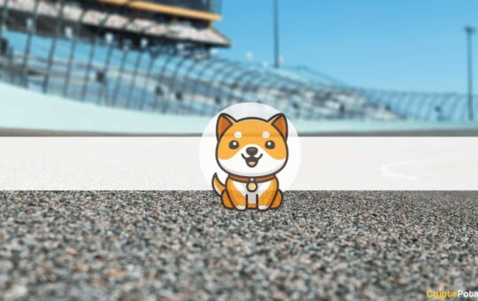 Baby Doge Coin Will Appear on NASCAR Xfinity Series