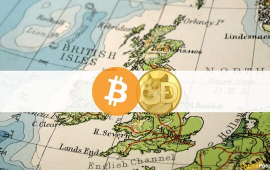 Bitcoin and Dogecoin are the First Investment for 45% of Young Britons