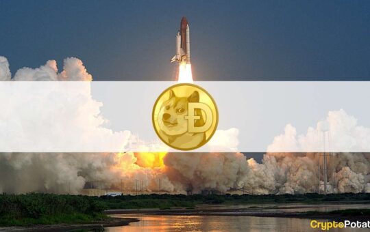 Dogecoin Surges 10% as Elon Musk Puts Doge Eyes on Twitter