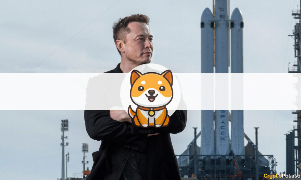 New Baby Doge Skyrockets 90% Following Elon Musk's Latest Tweets