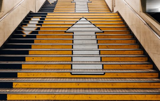 Fantom Token Soars as DeFi Usage Takes Off, Shiba Inu Crashes
