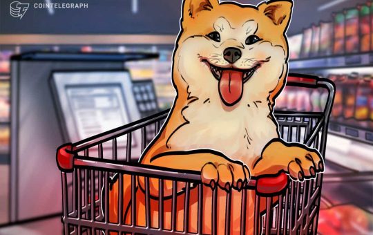 Shiba Inu surges over 45% in two days to reach an all-time high