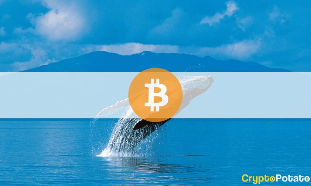Bitcoin Accumulation Accelerates as Whales Buy 0.29% of BTC's Total Supply in a Week: Analysis