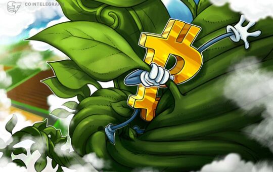Bitcoin ‘solidifies’ support at $58K as BTC price volatility hits 7-month low