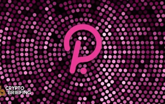 What Are Polkadot's Parachain Auctions?