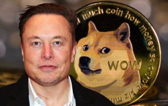 Tesla CEO Elon Musk Reveals Why He's Pro Dogecoin Amid Debate Over Web3, Ethereum, Decentralization