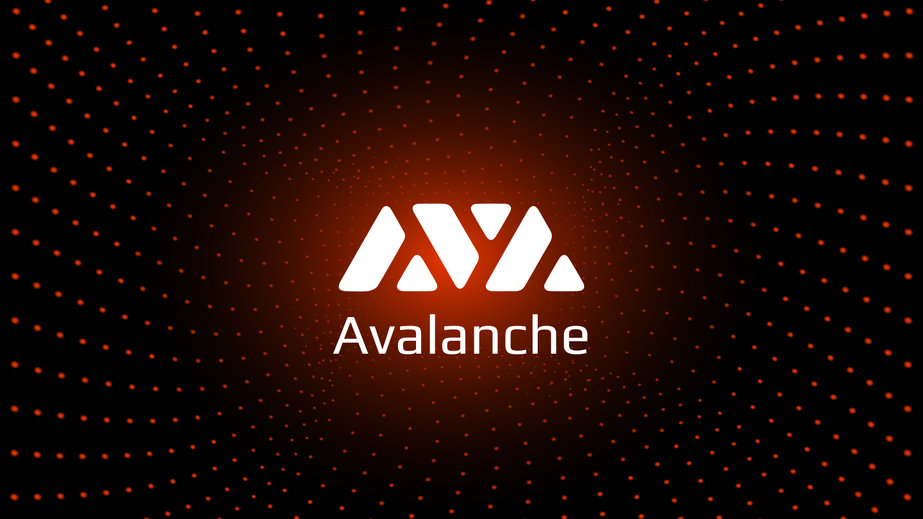 These are some of the best and most exciting blockchain projects on Avalanche today