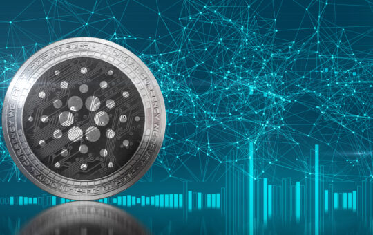 Cardano Leads Pack With Most Developer Activity in 2021