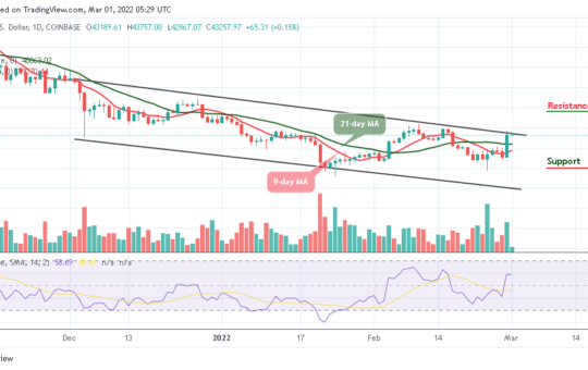 Bitcoin Price Prediction