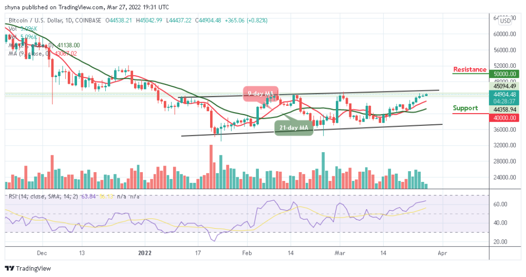 Bitcoin Price Prediction