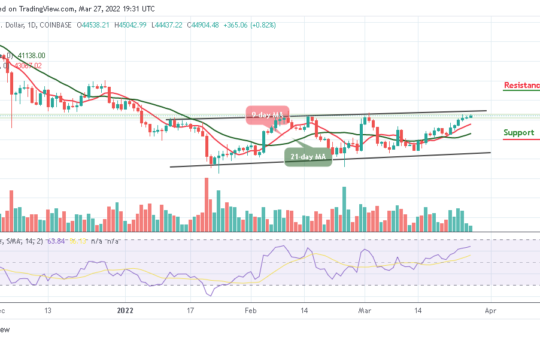 Bitcoin Price Prediction
