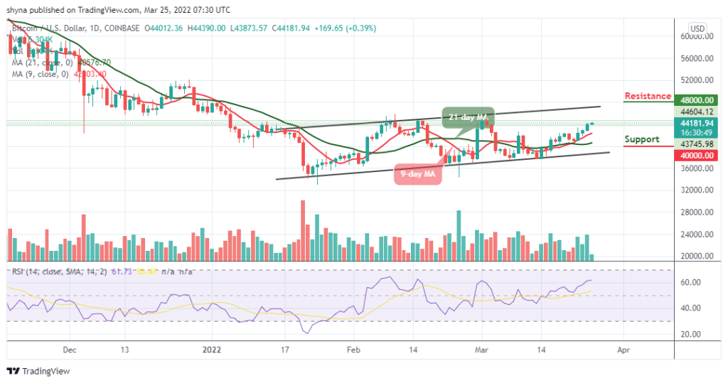 Bitcoin Price Prediction
