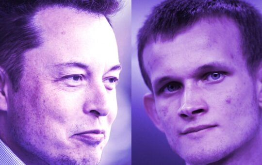 This Week on Crypto Twitter: Elon Musk's Diamond Hands, Tom Brady Responds to Vitalik