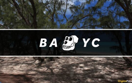 BAYC’s Otherside Land Sale: Everything You Need to Know
