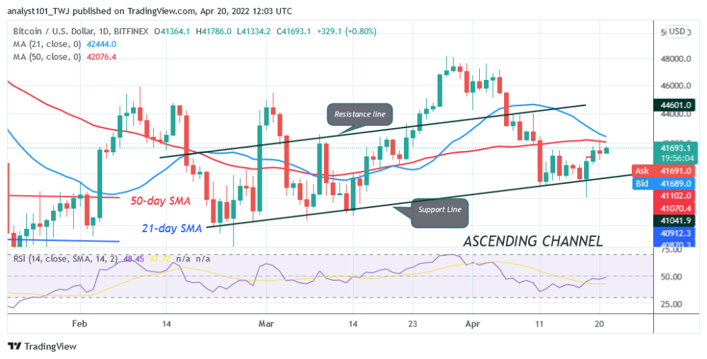 Bitcoin Price Prediction for Today April 20: BTC Price Is Stuck Below $42K as Bitcoin Continues Sideways Move