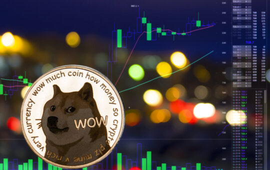 DOGE rallied by 24% in the last 24 hours