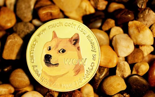 Elon Tweets Video Explaining Everything About Dogecoin 10
