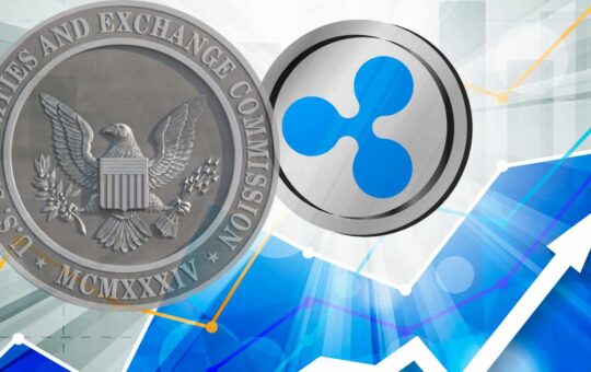Ripple CEO: SEC Lawsuit Over XRP 'Has Gone Exceedingly Well'