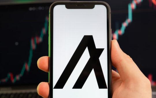 ALGO rallies by nearly 20% today