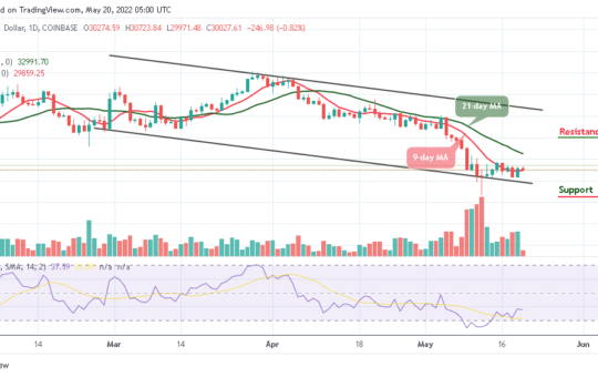 Bitcoin Price Prediction