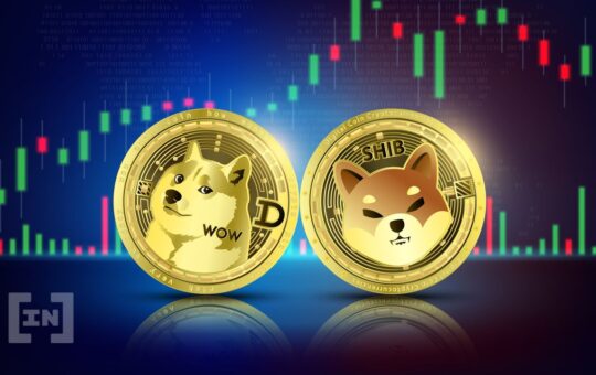 SHIBA INU (SHIB) Leads Dogecoin (DOGE) With 42% Increase Since June 18