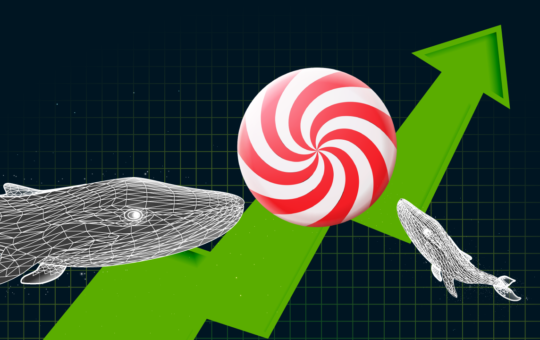 Whales Hold More Than 23% of CandyDEX Tokens