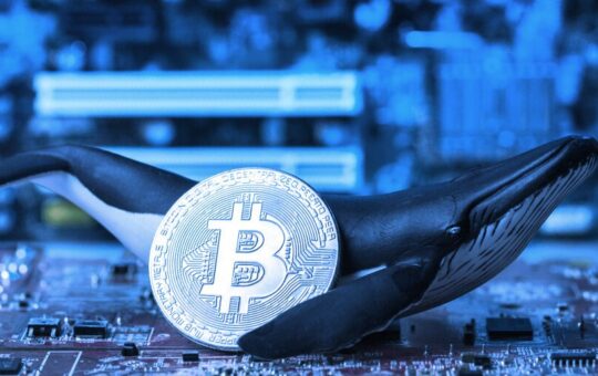 This Week on Crypto Twitter: Bitcoin Whales Buy the Dip, Nic Carter Defends an Investment, SBF Memed as Atlas