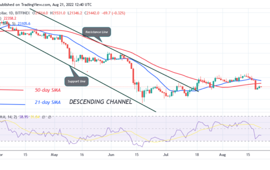 Bitcoin Price Prediction for Today August 21: BTC Price Declines as It Revisits $20.7K Support