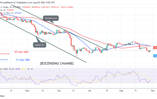 Bitcoin Price Prediction for Today August 29: BTC Price Recovers as It Struggles Below the $20.6K High