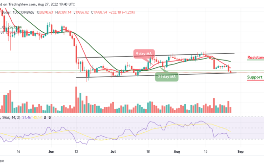 BTC Slumps Below $20,000; TAMA Pushes Up