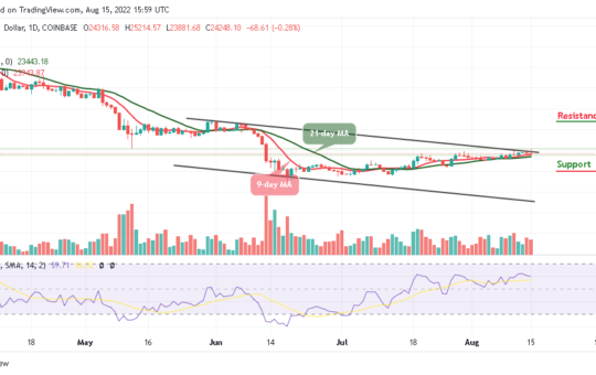 Bitcoin Price Prediction