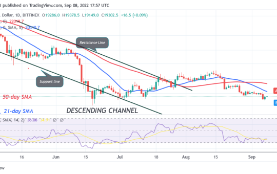 Bitcoin Price Prediction for Today September 8: BTC Price Reclaims the $19.5K Support