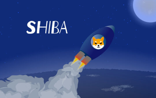 Shiba Inu retraces back to breakout support