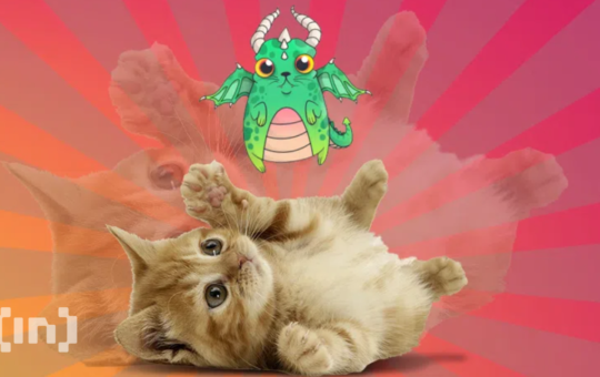Watch out for a New CryptoKitties Movie