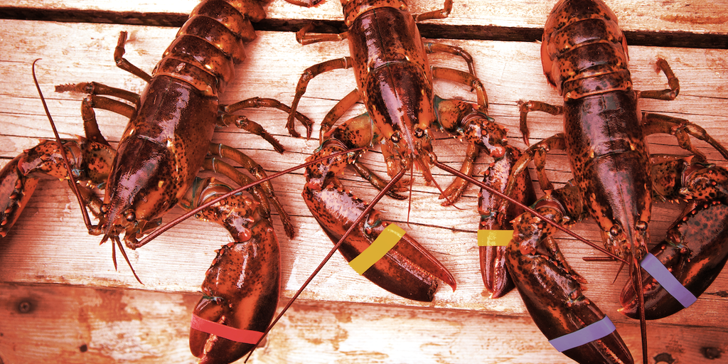 Buy an NFT, Get Maine Lobster Shipped to Your Door