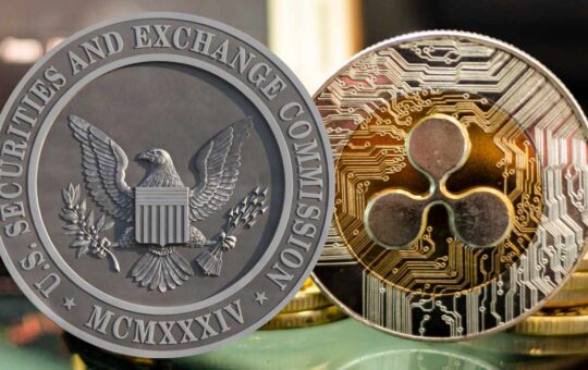 Support for Ripple Grows in SEC Lawsuit Over XRP — CEO Says 'It's Unprecedented'