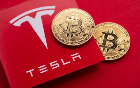 Which is a better buy in 2023?