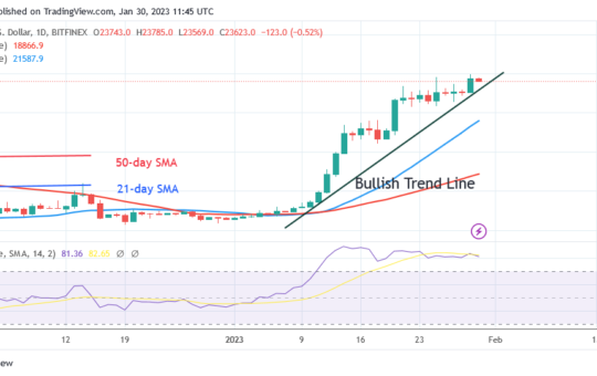 Bitcoin Price Prediction for Today, January 30: BTC Price Rebounds To Reach $23.9K