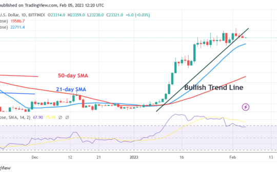 Bitcoin Price Prediction for Today, February 5: BTC Price Holds above $23K for a Potential Upswing