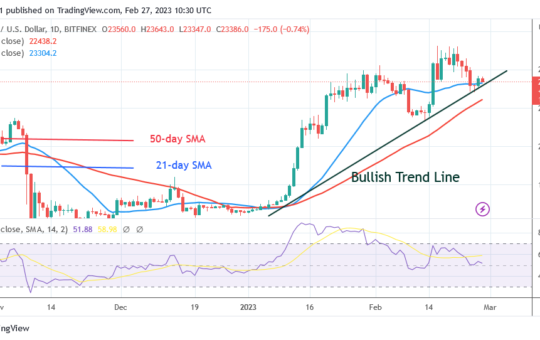 BTC Price Rebounds but Risks Decline below $23K