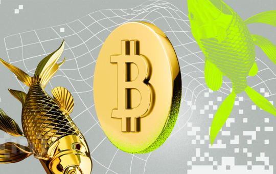 Gold-Backed Digital Currency May Help Zimbabwe Hedge Against Inflation