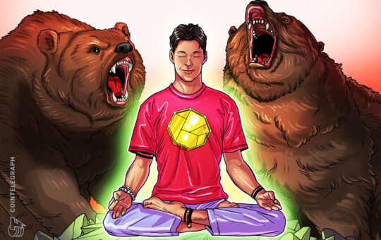 ‘Not just Bitcoin price’ — Dan Tapiero shares tips on navigating the bear market