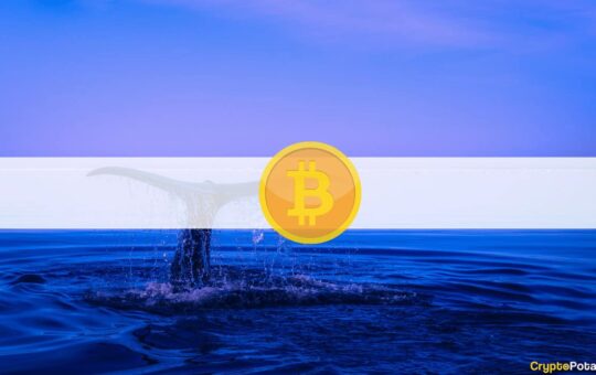 Curious $230M Worth of BTC Transaction From Dormant Whales: Implications on Bitcoin's Price?