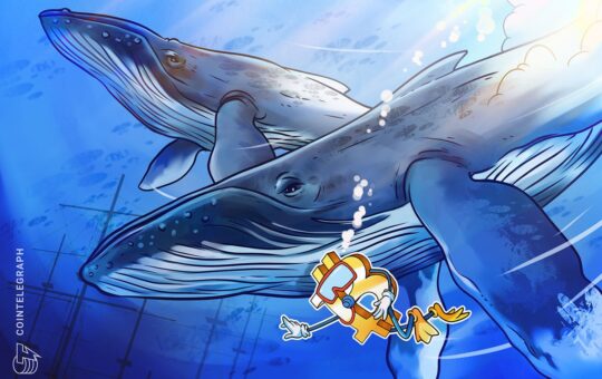 Bitcoin whales aim to reclaim $42K after BTC price dives over 3%