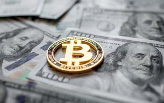 Rising Bitcoin Fees Prompt Renewed Battle Over Ordinals, BRC-20 Tokens