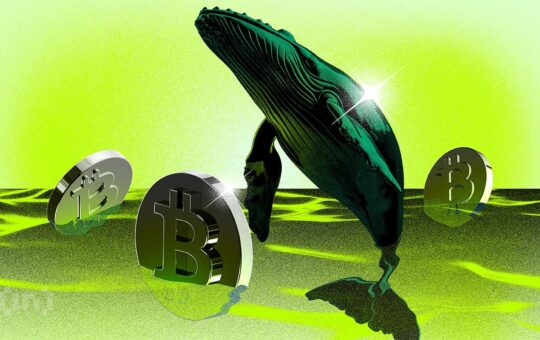 After Crypto Whales’ $6.2 Billion Purchase: Can Bitcoin Surge to $57,000?
