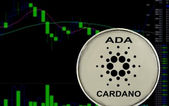 Cardano Drops Out of Top 10 by Market Cap Again as Toncoin Rises